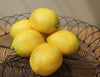 Faux Lemon - Greige - Home & Garden - Chiswick, London W4 