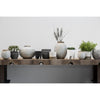 White Crackle Glazed Dotty Flowerpot or Vase - Small
