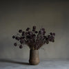 Faux Purple Melaleuca - Greige - Home & Garden - Chiswick, London W4 