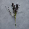 Faux Purple Melaleuca - Greige - Home & Garden - Chiswick, London W4 