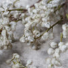 Faux Mimosa Blush Stem