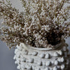 Faux Mimosa Blush by Abigail Ahern