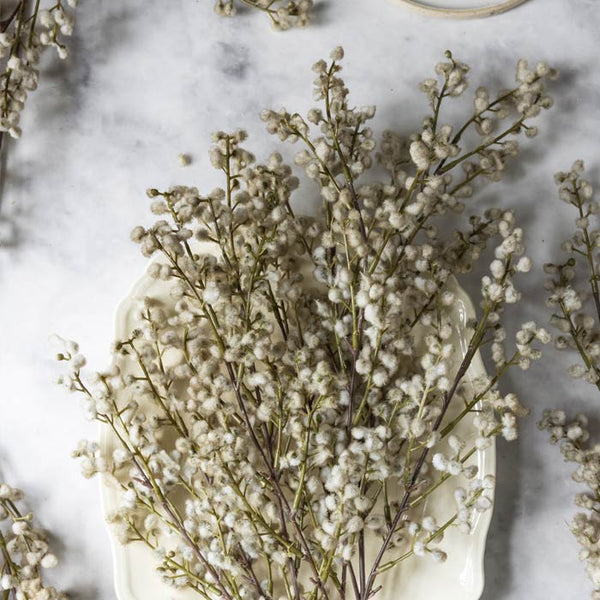 Faux Mimosa Blush by Abigail Ahern