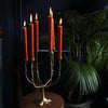 Recycled Brass Tree Multi Candleholder Candelabra