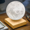 Ginkgo Design Smart Moon Light Ash