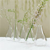 Multi Five Vase Bud Vase