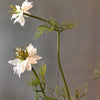 Faux Nigella (Love in a Mist) Stem - Greige - Home & Garden - Chiswick, London W4 