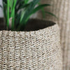 Tapered Seagreass Basket - Three Sizes