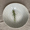 Wonkiware Small Spaghetti Bowl - Duck Egg Lace