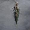 Faux Pampas Grass Bunch - Greige - Home & Garden - Chiswick, London W4 