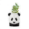 Panda Pencil Pot by Quail Ceramics