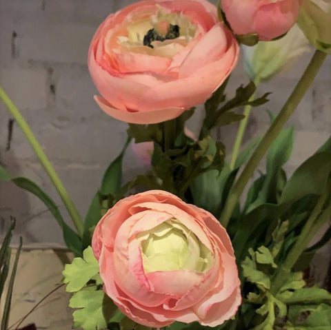 Faux Pink Ranunculus - Greige - Home & Garden - Chiswick, London W4 