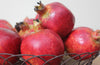 Faux Pomegranate - Greige - Home & Garden - Chiswick, London W4 