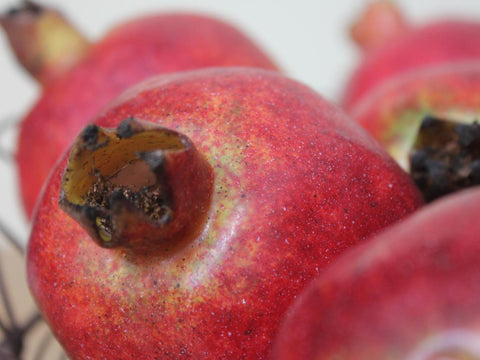Faux Pomegranate - Greige - Home & Garden - Chiswick, London W4 