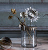 Glass Jar Vase with Brass Lid - Walther & Co, Denmark - Greige - Home & Garden - Chiswick, London W4 