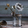 Botanical Range - Walther & Co, Denmark - Greige - Home & Garden - Chiswick, London W4 