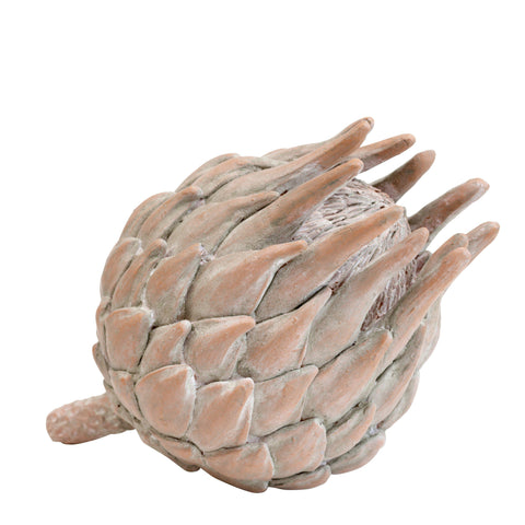 Decorative Terracotta Protea Flower Head