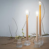 Ruffles Glass Hybrid Candle Holder - Tealight and Dinner Candle
