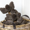 Rattan Apple Catcher Basket with Leather Handles