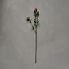 Faux Scabiosa Blush Stem