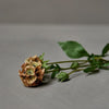 Faux Scabiosa Blush Stem