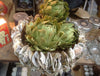 Spectacular Oyster Shell Bowls - Greige - Home & Garden - Chiswick, London W4 