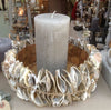 Spectacular Oyster Shell Bowls - Greige - Home & Garden - Chiswick, London W4 
