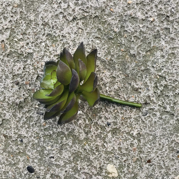 Small Faux Succulent - Greige - Home & Garden - Chiswick, London W4 