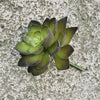 Small Faux Succulent - Greige - Home & Garden - Chiswick, London W4 