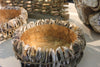 Spectacular Oyster Shell Bowls - Greige - Home & Garden - Chiswick, London W4 