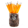 Tawny Owl Pencil Pot by Quail Ceramics