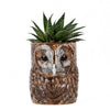 Tawny Owl Pencil Pot by Quail Ceramics