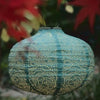 Solar Lantern - Pumpkin - Teal