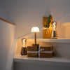Cordless Rechargeable Lamp - Light Gold Frosted Glass