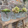 set of four glass flowerpots mixed designs