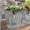 Vintage Style Glass Flower Pots - Four Assorted Designs - Greige - Home & Garden - Chiswick, London W4 