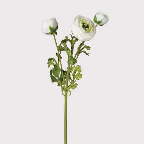 Faux White Ranunculus - Greige - Home & Garden - Chiswick, London W4 