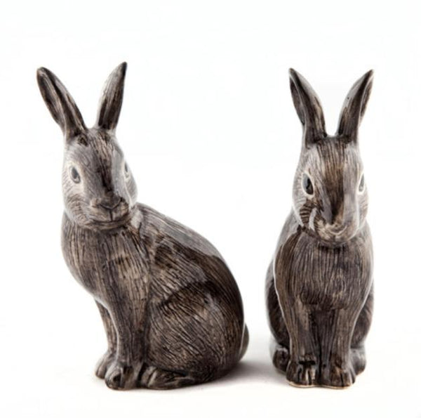 wild rabbit salt and pepper pots by Quail Ceramics