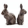Wild Rabbit Salt & Pepper Pots by Quail Ceramics