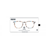 Izipizi Reading Glasses - Style E - Blue Tortoise