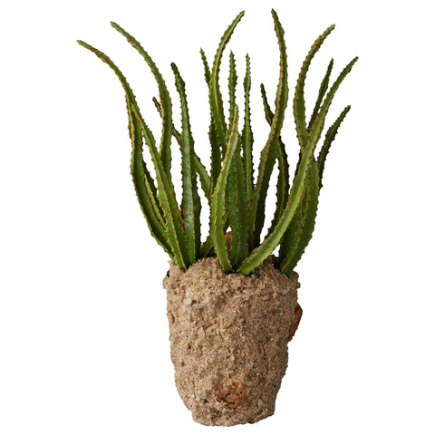 Faux Cactus Plant in Soil H21cm - Greige - Home & Garden - Chiswick, London W4 