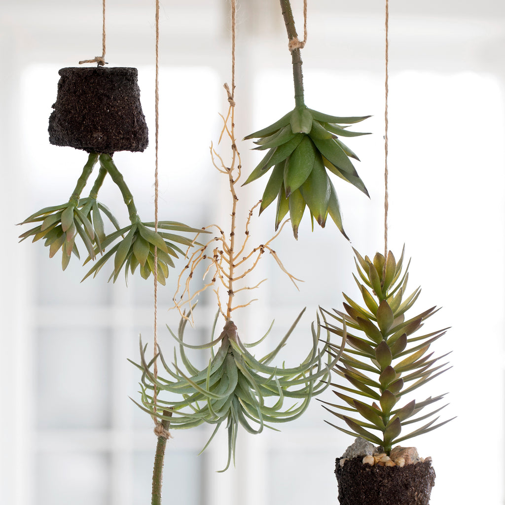 artificial succulent plants uk Faux Succulent Plant in Soil