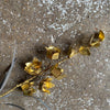 Long Gold Flower With Zinc Leaves - Botanical Range - Walther & Co