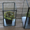 Set of Three Antiqued Metal & Glass Box Lanterns - Greige - Home & Garden - Chiswick, London W4 